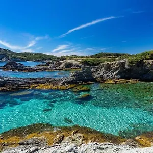 Vacances Idéales Limite Sanary Sur Mer !! Logement Partagé Shared , Ollioules France